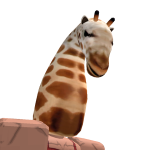 @pixelgainer830