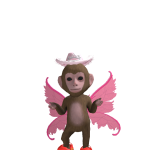 @Roque0112
