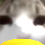 @D7OOM_SAN33