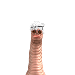 @TarikTopDog2