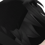 @PR4NKST3ER