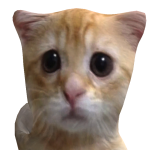 @Sonic_kidYT