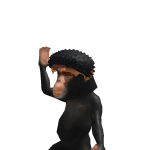 @Jay_executer