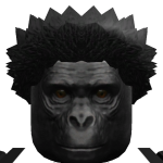 @ninjagooooy