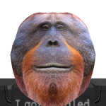 @Unknown_RedBandit