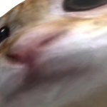 @Bfghgfdhyrerh