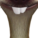 @odinssohn2010