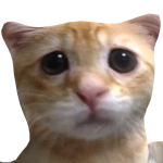 @leeseplays_2008