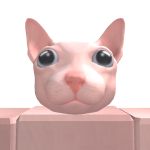 @BingusDefender
