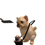 @rileytherat1234