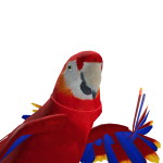 laricel