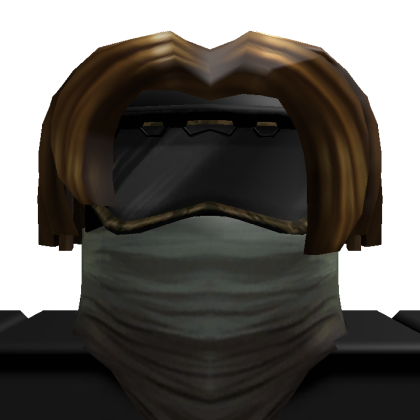 Roblox profile picture for @Explanations