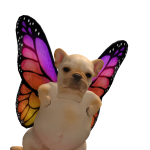 @Ashelyxxx_lovesBTS
