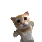 @YT5ive8ight