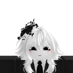 @shin_0806