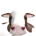 @vozziak