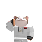 @bestrobloxcoolboy