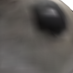 @wksnd1026