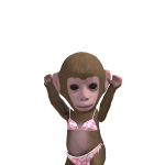 @NotHoneyBear_YT