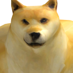 @DogMi11k