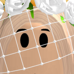 @Grace_playz247