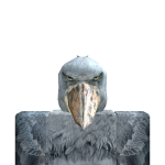 @Carl_Grxmes