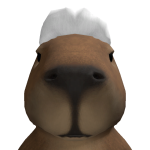 @K1TT3NSWAG