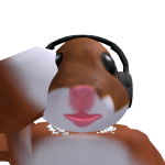 @ybm5