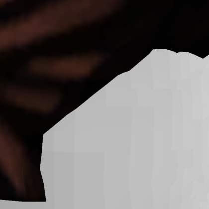 Roblox profile picture for @korodagao