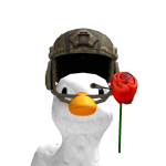 @Mattbear31