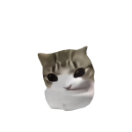 @sigmaseal41