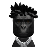 @mrgamerproroblox