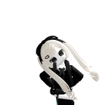 @shsgsgwjwh