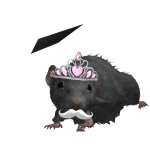 @PotatoBlacky