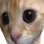 @dndkdvekd