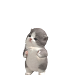 @panda_lov3rrr