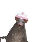 @CheetahCheesePink