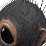 @notjayheh