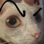 @qwertyhjkasd