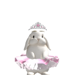 @z01nkyyy