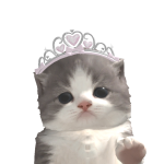 @Ayen_qween