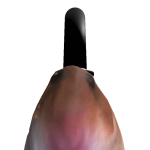 CrystalDragon090