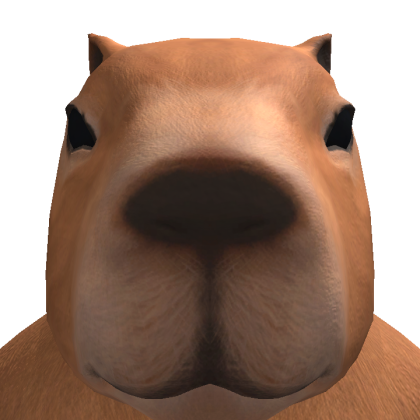 Roblox profile picture for @gl_maar