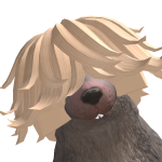 @OP_player2020