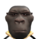 @Jjcoolman4321
