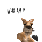 @joelprosito