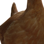 @Faze21_Btw