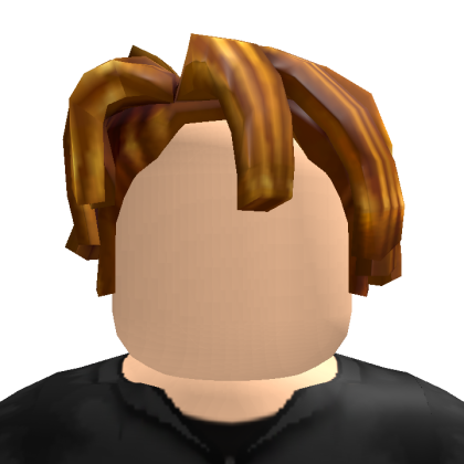 Roblox profile picture for @kup_84