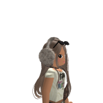 V3Dev