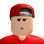MLLRP29